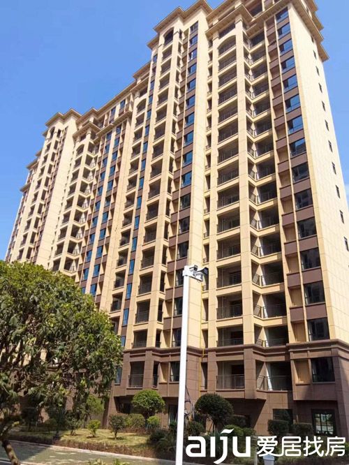 1682729635471583.jpg 1.jpg