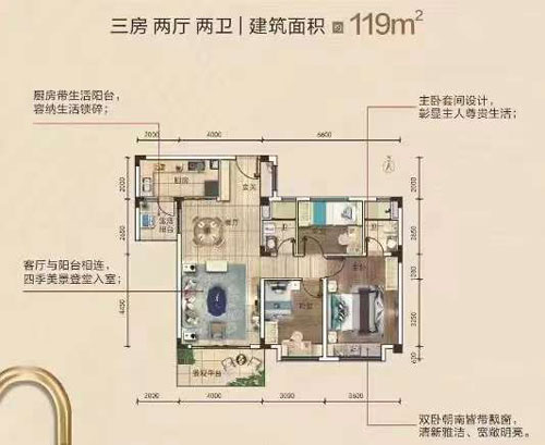 1698145115310496.jpg 11.jpg